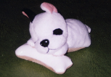 2003.10.3.dog.jpg (37754 バイト)