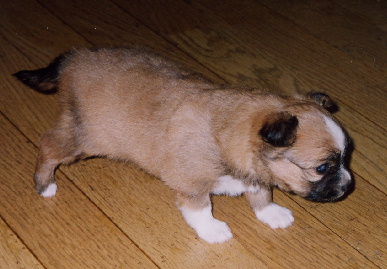 2003.12.26.mio2.jpg (56988 oCg)