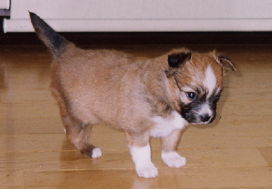 2003.12.26.mio3.jpg (43967 oCg)
