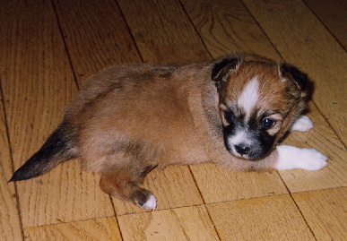 2003.12.26.mio6.jpg (60433 oCg)