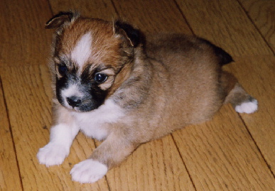 2003.12.26.mio7.jpg (52716 oCg)