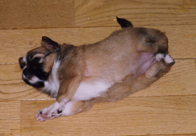 2003.12.26.mio9.jpg (49218 oCg)