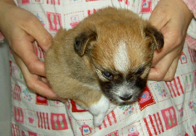 2003.12.29.mio1.jpg (69538 バイト)