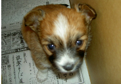 2003.12.29.mio4.jpg (53226 バイト)