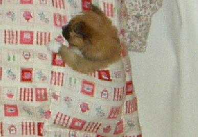 2003.12.29.mio5.jpg (55582 バイト)