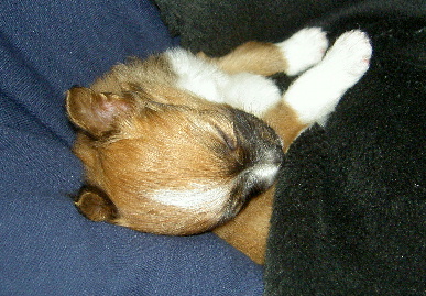 2003.12.29.mio6.jpg (74864 バイト)