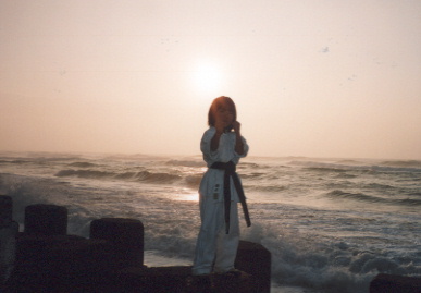 2003.2.9.karate_moe1.jpg (33330 バイト)