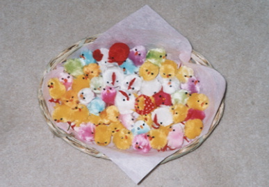 2003.4.6.hiyoko1.jpg (48126 バイト)