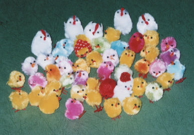 2003.4.6.hiyoko3.jpg (56005 バイト)