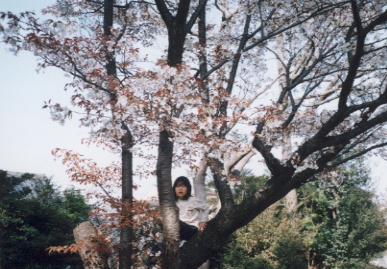 2003.4.7.moe6.jpg (77974 バイト)