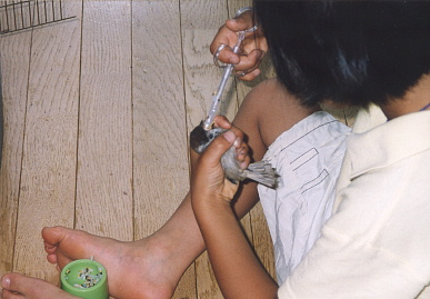 2003.6.29.moe1.jpg (49657 oCg)