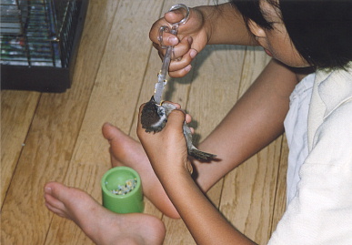 2003.6.29.moe2.jpg (48944 oCg)