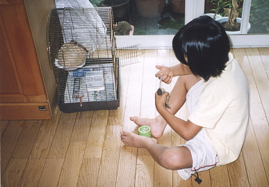 2003.6.29.moe3.jpg (56696 oCg)