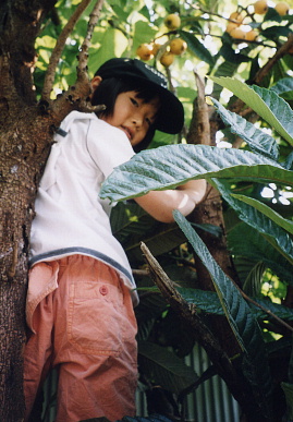 2003.6.8.biwagari5.jpg (70988 oCg)