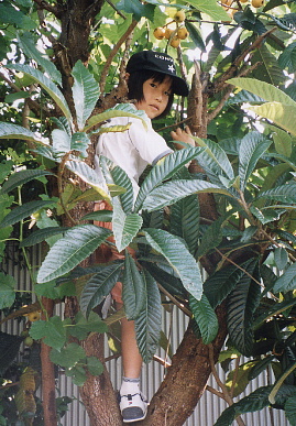 2003.6.8.biwagari6.jpg (92736 oCg)