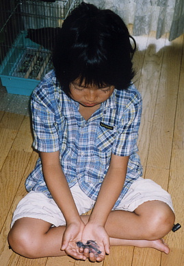 2003.7.19.peach1.jpg (64296 oCg)