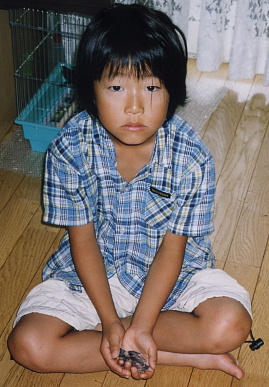 2003.7.19.peach3.jpg (66558 oCg)