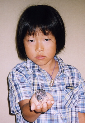 2003.7.21.moe6.jpg (63380 oCg)