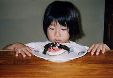 2003.7.30.moe5.jpg (41342 oCg)