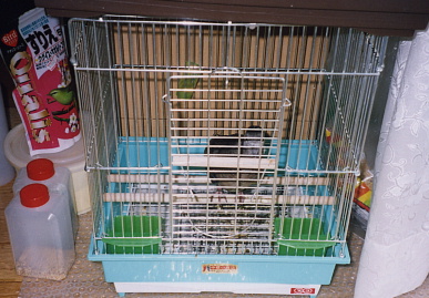 2003.7.31.moe10.jpg (71703 バイト)