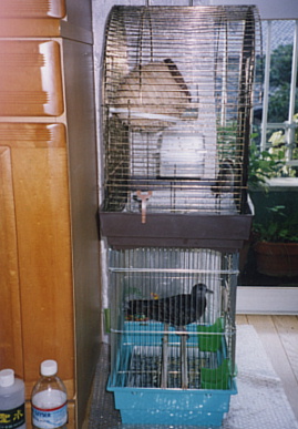 2003.7.31.moe11.jpg (57815 バイト)