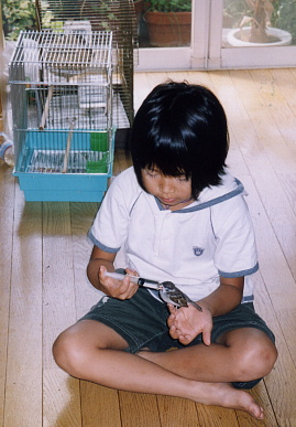 2003.7.31.moe12.jpg (58824 oCg)