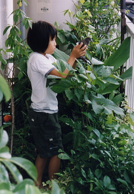 2003.7.31.moe5.jpg (72794 バイト)
