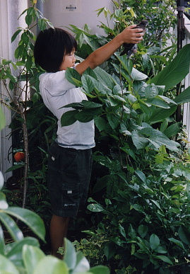 2003.7.31.moe6.jpg (74573 バイト)