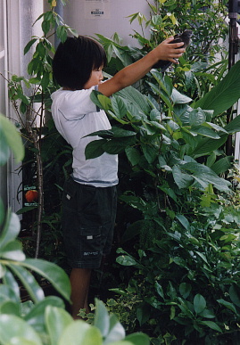 2003.7.31.moe7.jpg (71201 バイト)