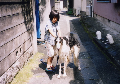 2003.8.3.tanuki5.jpg (70339 バイト)