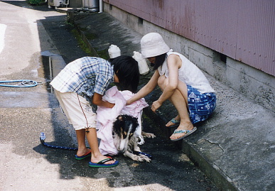 2003.8.3.tanuki6.jpg (69346 バイト)