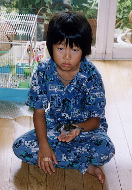 2003.8.6.momo1.jpg (72890 oCg)