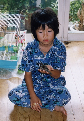 2003.8.6.momo2.jpg (73025 oCg)