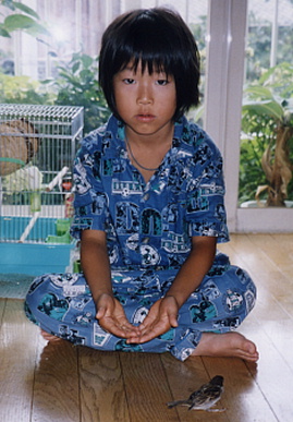 2003.8.6.momo3.jpg (65047 oCg)
