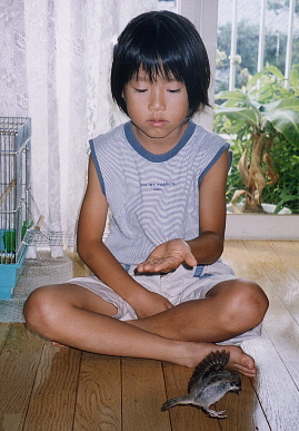 2003.8.8.momo3.jpg (62517 oCg)
