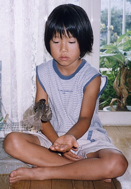 2003.8.8.momo4.jpg (57290 oCg)