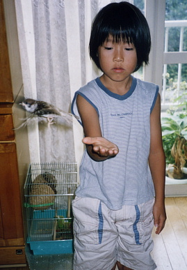 2003.8.8.momo5.jpg (55447 oCg)