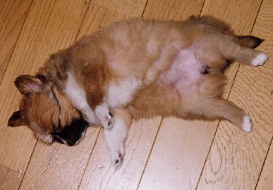 2004.1.12.mio1.jpg (56971 バイト)