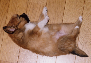 2004.1.12.mio2.jpg (51702 バイト)