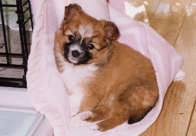 2004.1.12.mio3.jpg (53735 バイト)