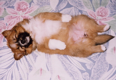 2004.1.12.mio4.jpg (60956 バイト)