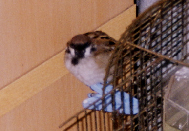 2004.1.12.momo2.jpg (51030 oCg)