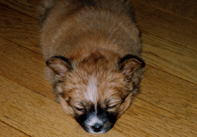 2004.1.15.mio1.jpg (56035 バイト)