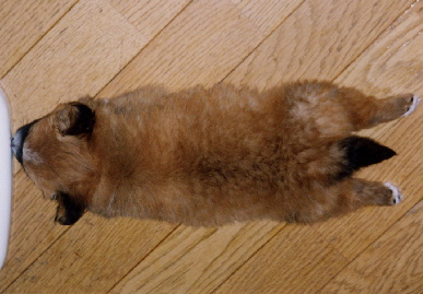 2004.1.15.mio2.jpg (55531 バイト)
