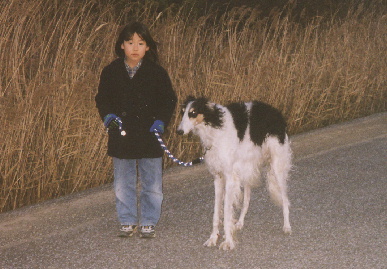 2004.1.15.tanuki2.jpg (64366 バイト)