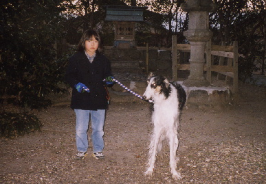 2004.1.15.tanuki3.jpg (63698 バイト)