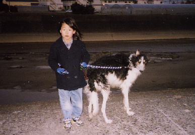 2004.1.15.tanuki4.jpg (56972 バイト)