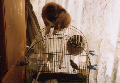 2004.1.19.mio1.jpg (56265 バイト)
