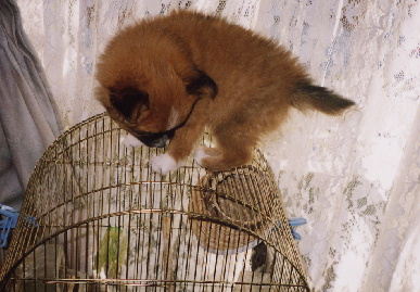 2004.1.19.mio2.jpg (65977 バイト)
