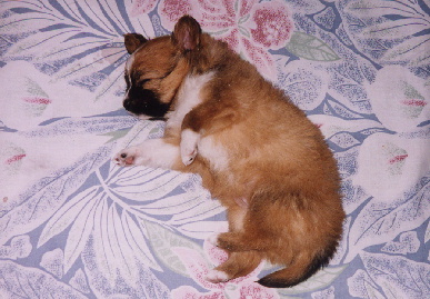 2004.1.3.mio1.jpg (67790 バイト)